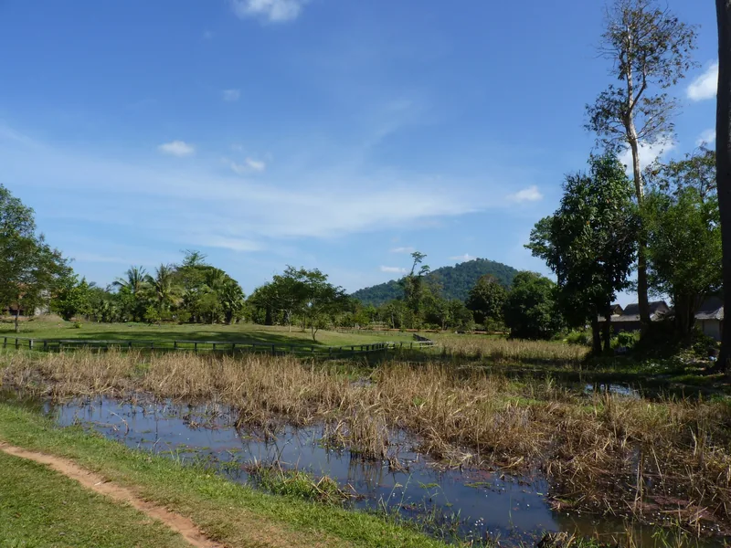Flooded rice fields and green trees stretch toward a low hill under a wide blue sky near Siem Reap.