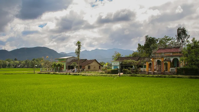 Green rice paddies stretch toward a rural village with traditional houses and mountains near Hoi An.