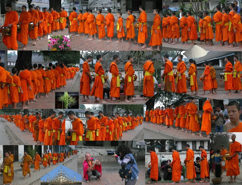 Collage of saffron-robed monks walking in single file to collect morning alms in Luang Prabang.