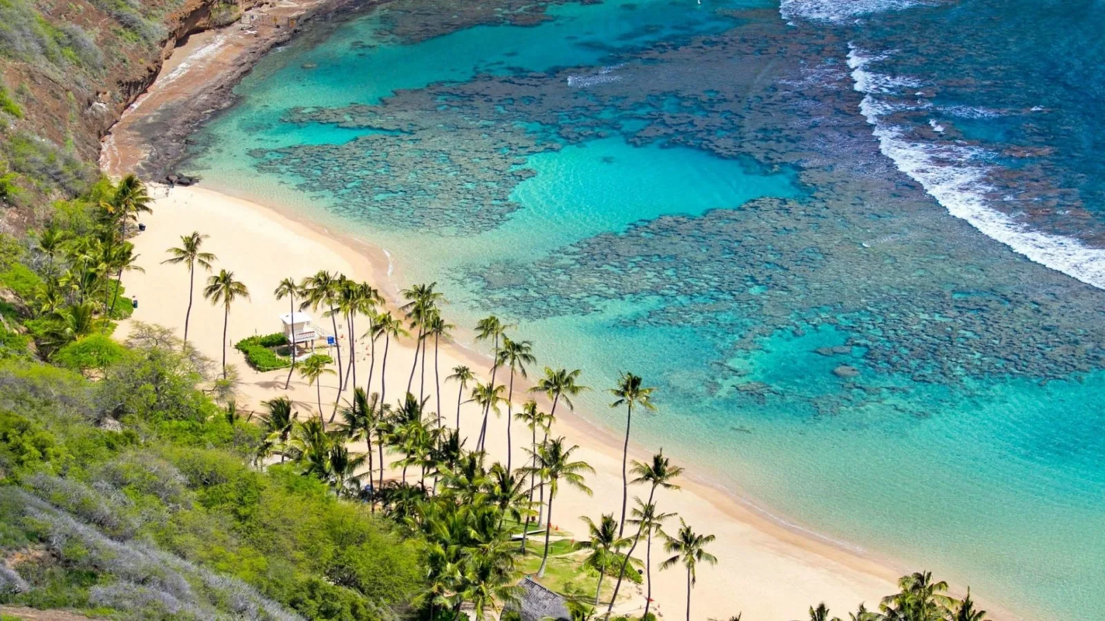 Aerial view of a palm-fringed sandy beach with turquoise water and coral reefs on Cham Island near Hoi An.