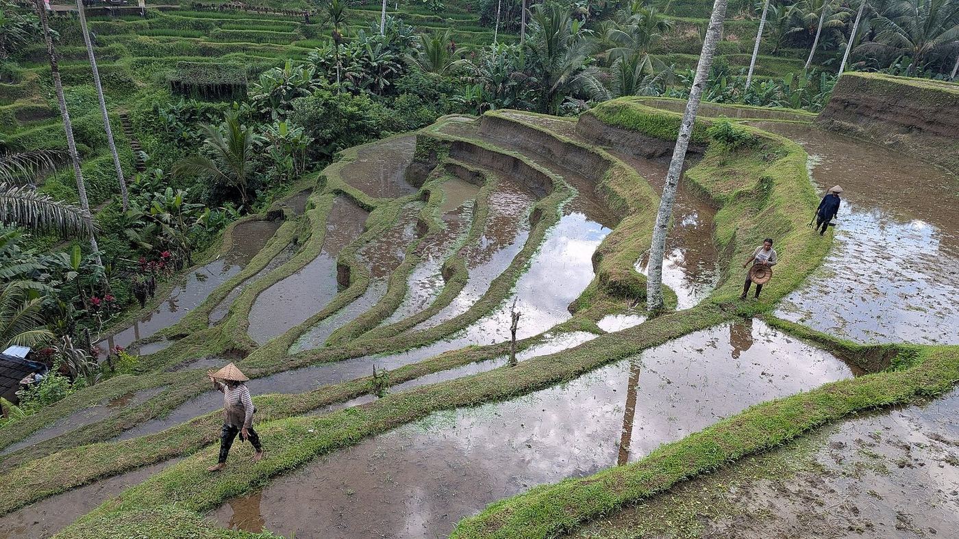 Indonesia