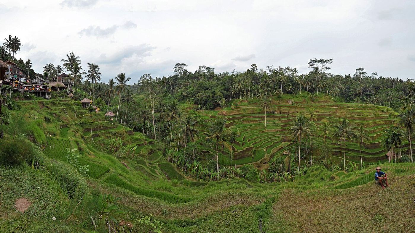 Ubud and Bali Ubud and Bali